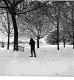 winter.JPG