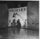 Huskies.JPG